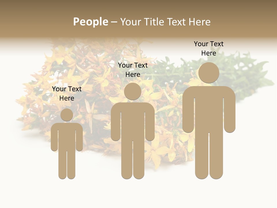 Treatment Haulm Inflorescence PowerPoint Template
