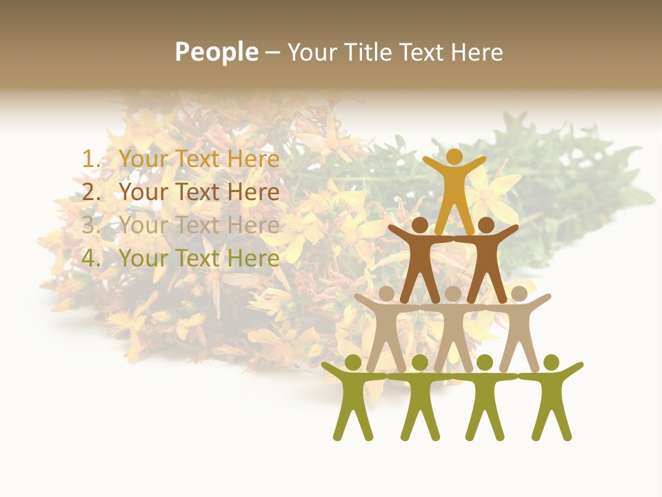 Treatment Haulm Inflorescence PowerPoint Template