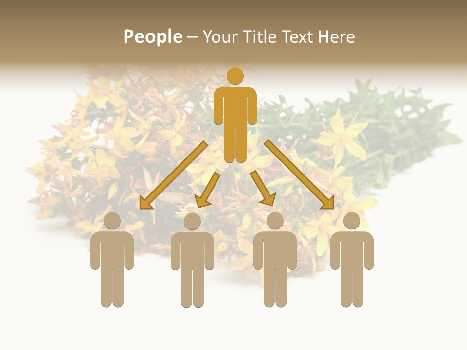 Treatment Haulm Inflorescence PowerPoint Template