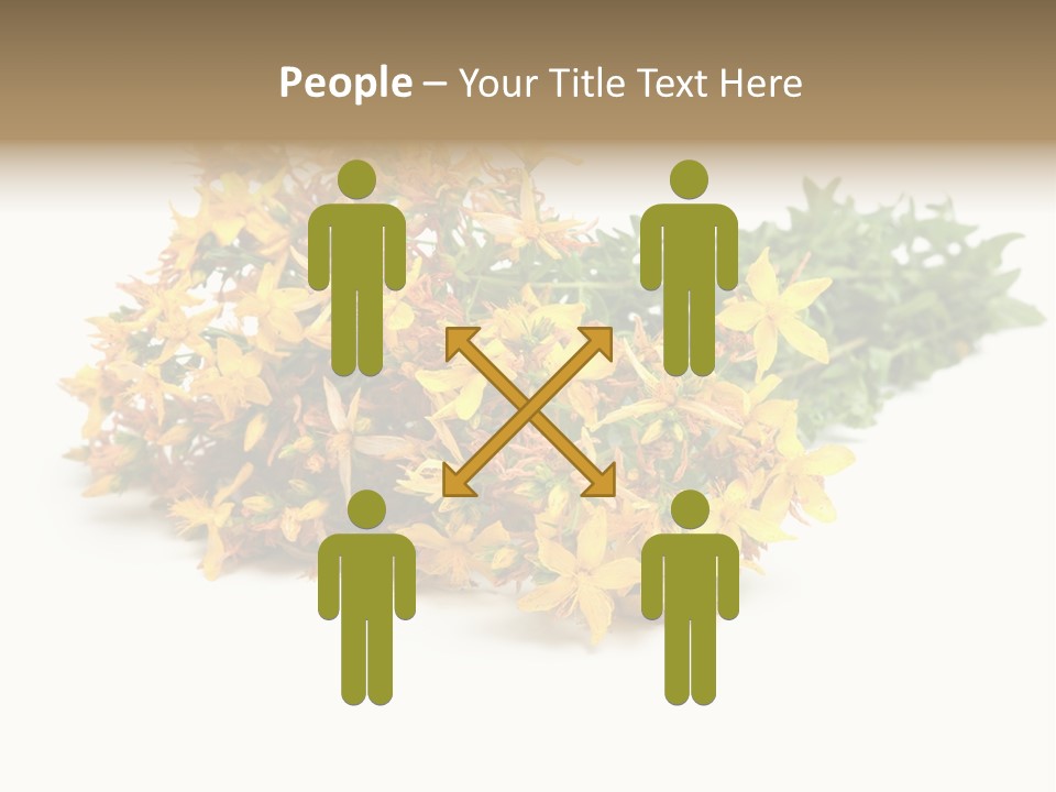 Treatment Haulm Inflorescence PowerPoint Template