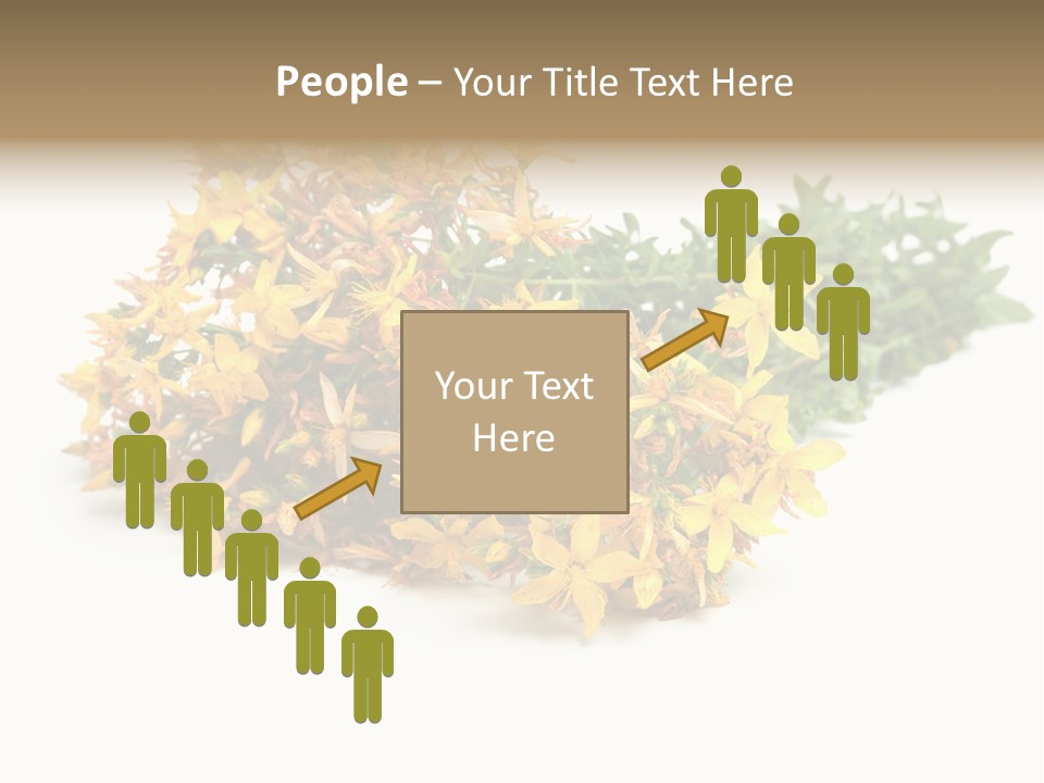 Treatment Haulm Inflorescence PowerPoint Template