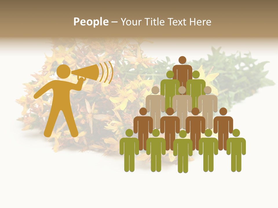 Treatment Haulm Inflorescence PowerPoint Template