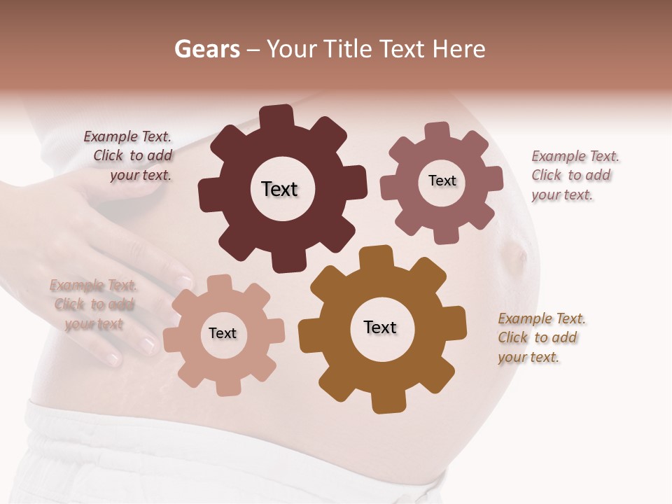 Growth Vertical Stomach PowerPoint Template