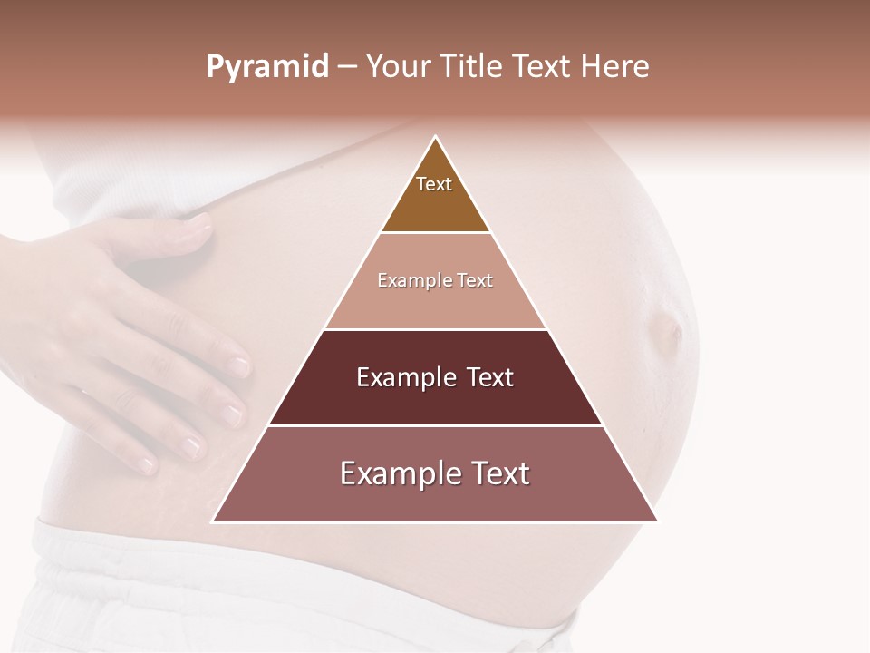 Growth Vertical Stomach PowerPoint Template