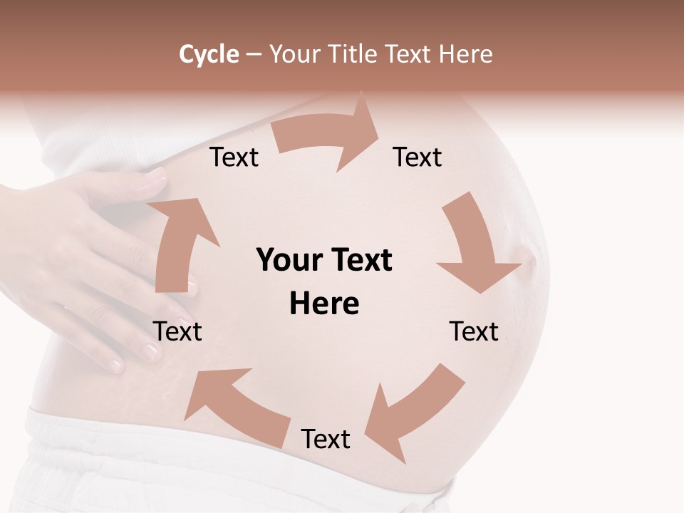 Growth Vertical Stomach PowerPoint Template