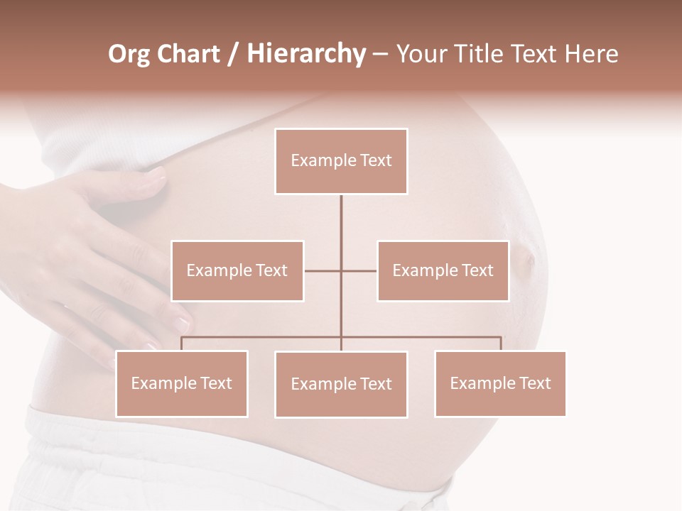 Growth Vertical Stomach PowerPoint Template