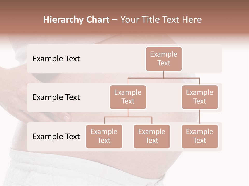 Growth Vertical Stomach PowerPoint Template