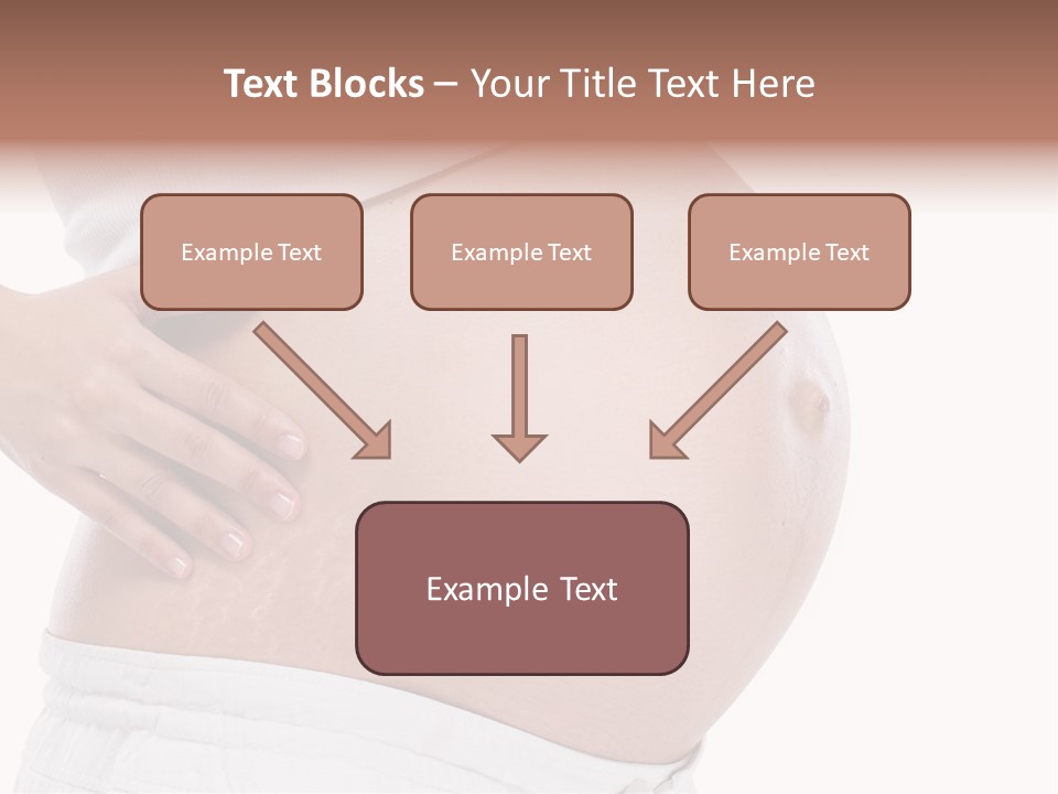 Growth Vertical Stomach PowerPoint Template