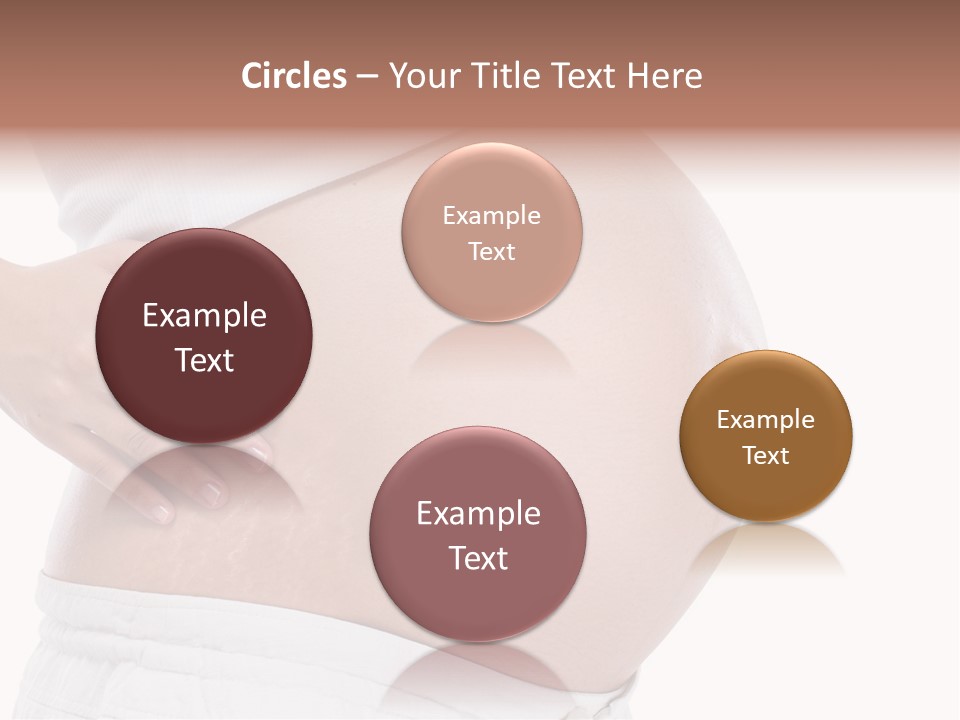 Growth Vertical Stomach PowerPoint Template