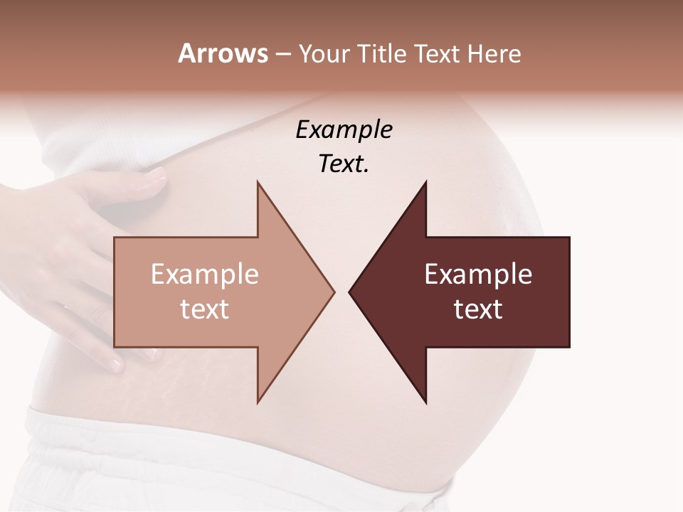 Growth Vertical Stomach PowerPoint Template