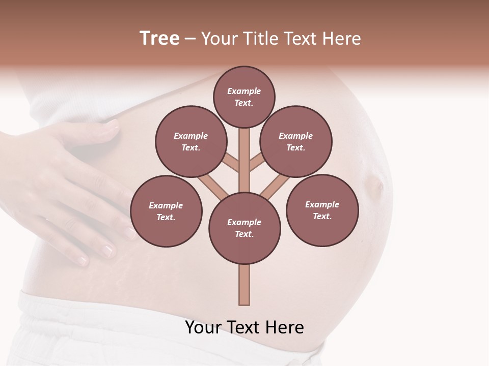Growth Vertical Stomach PowerPoint Template