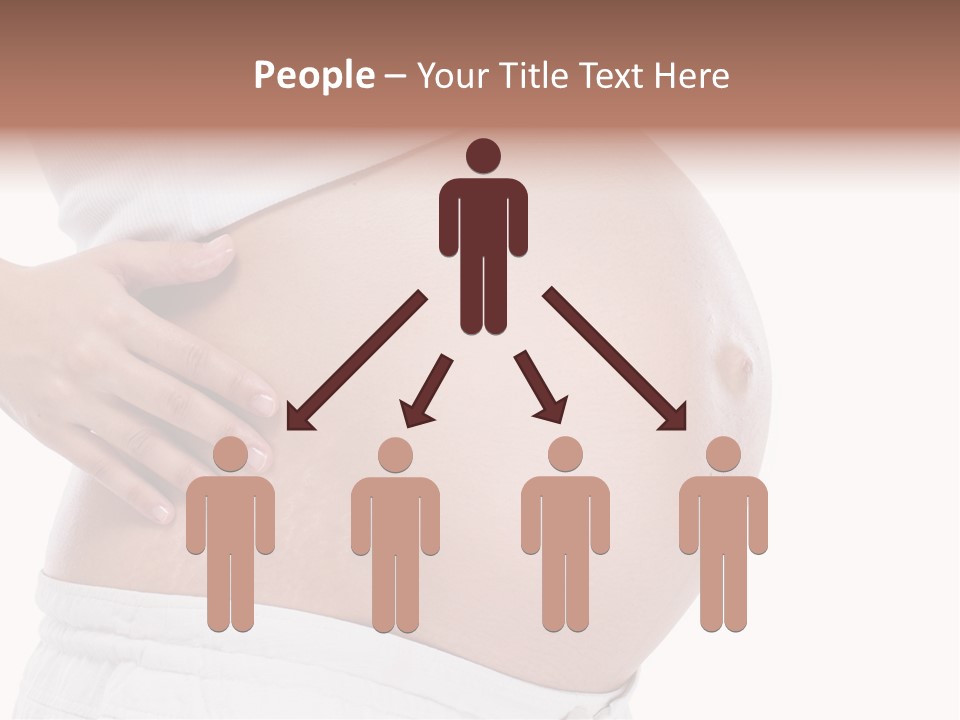 Growth Vertical Stomach PowerPoint Template