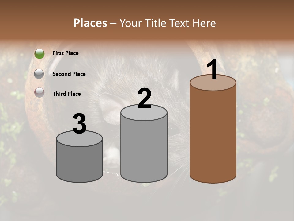 Norway Nature Small PowerPoint Template