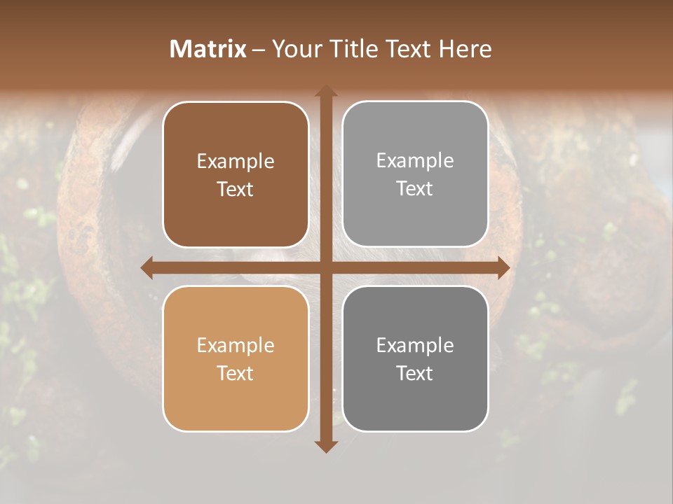 Norway Nature Small PowerPoint Template