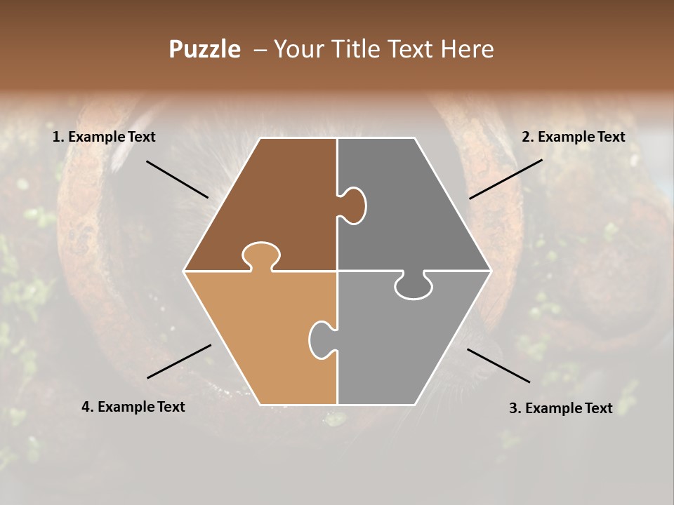 Norway Nature Small PowerPoint Template