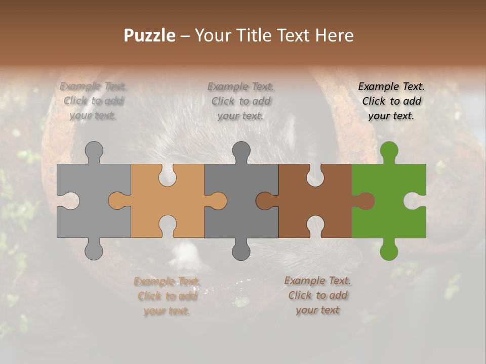 Norway Nature Small PowerPoint Template