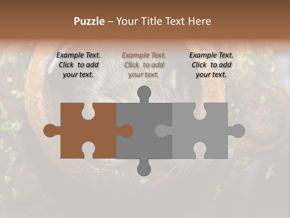 Norway Nature Small PowerPoint Template