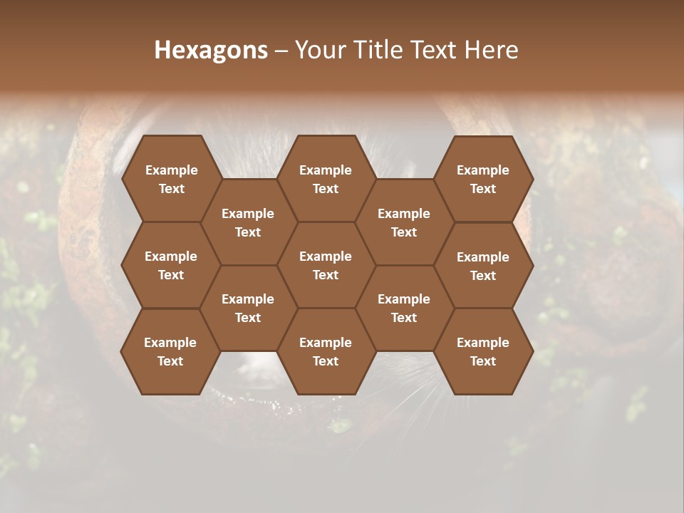 Norway Nature Small PowerPoint Template