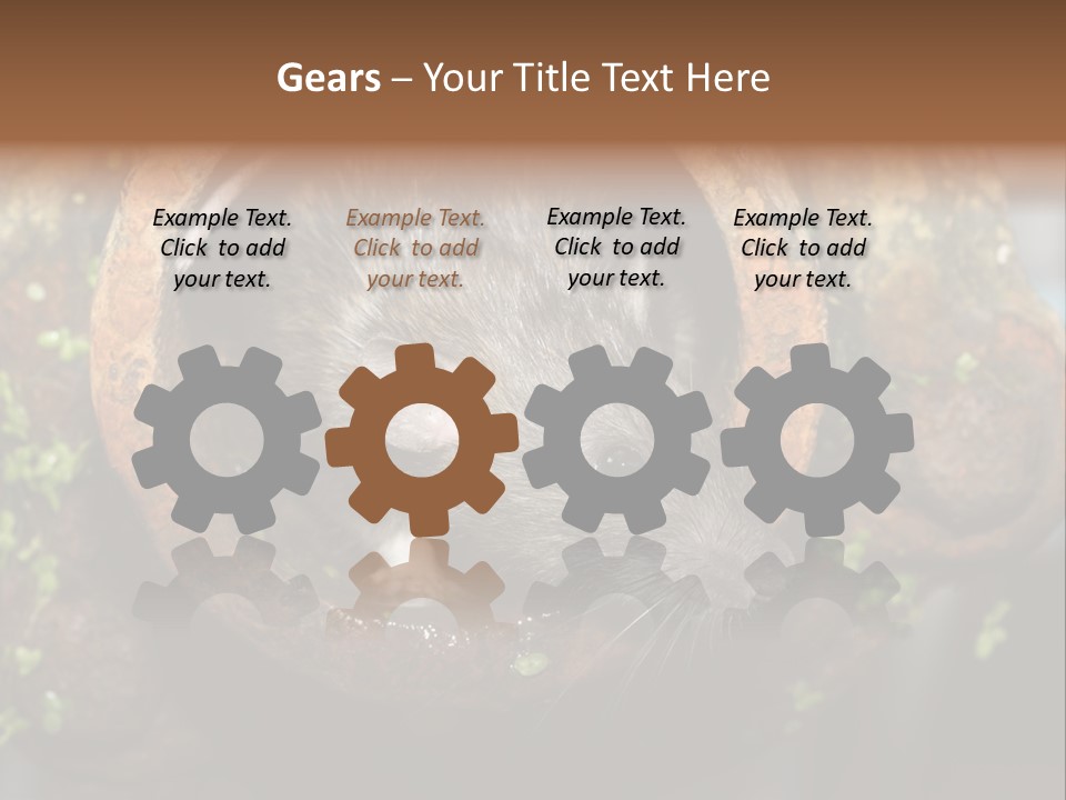 Norway Nature Small PowerPoint Template