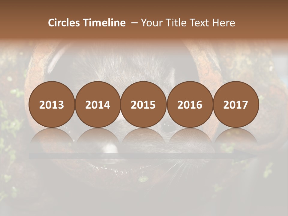 Norway Nature Small PowerPoint Template