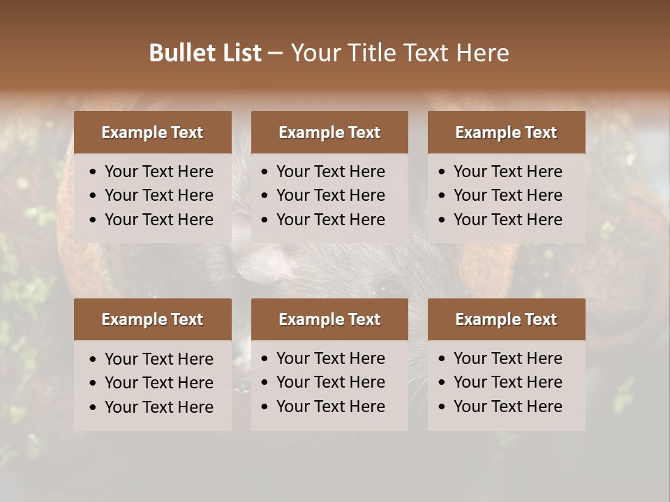 Norway Nature Small PowerPoint Template