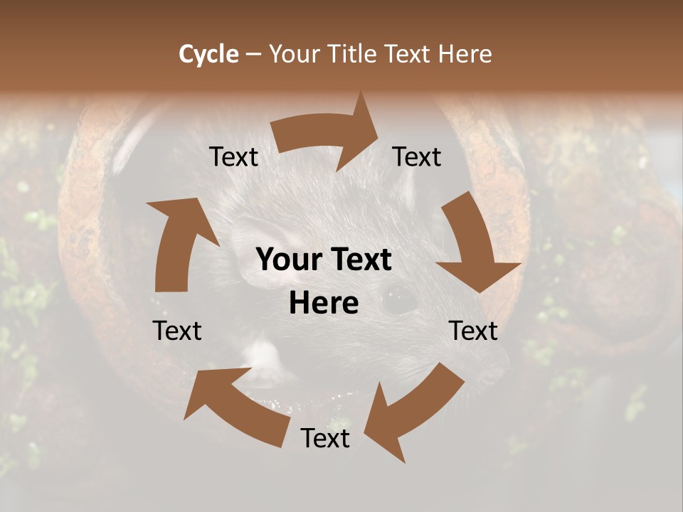 Norway Nature Small PowerPoint Template