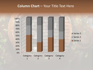 Norway Nature Small PowerPoint Template