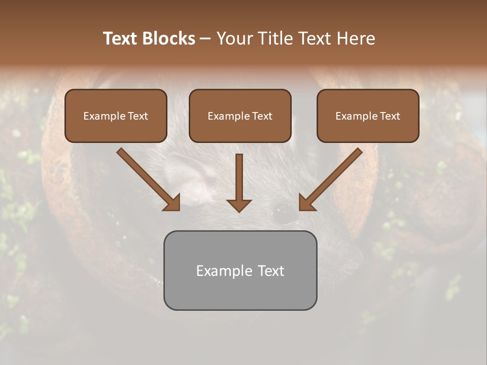 Norway Nature Small PowerPoint Template