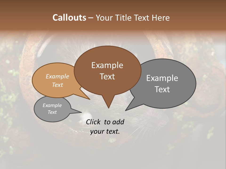 Norway Nature Small PowerPoint Template