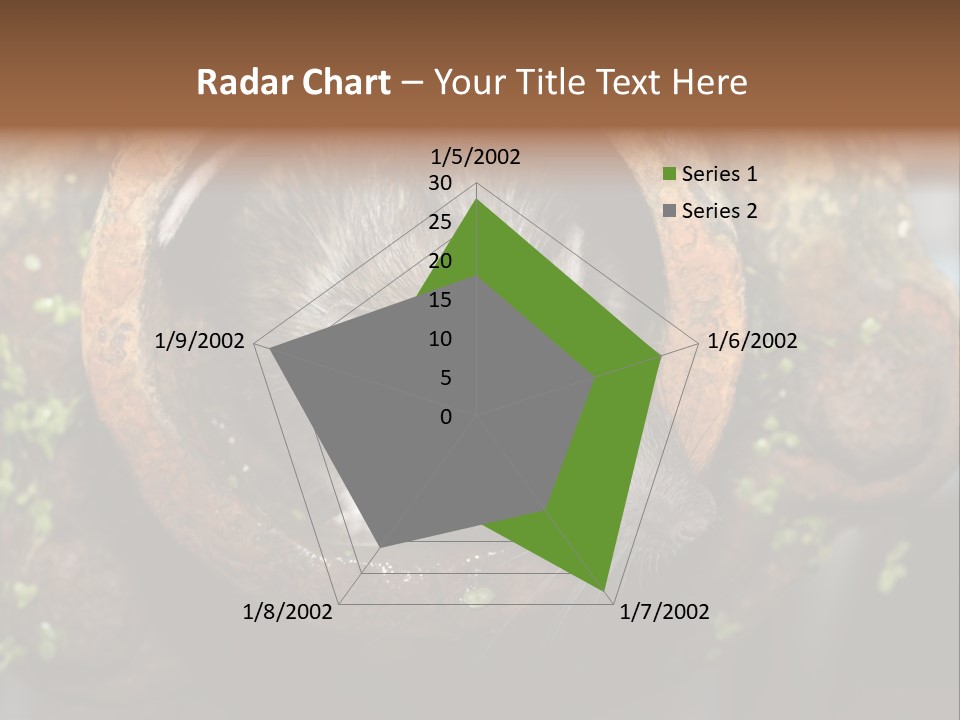 Norway Nature Small PowerPoint Template