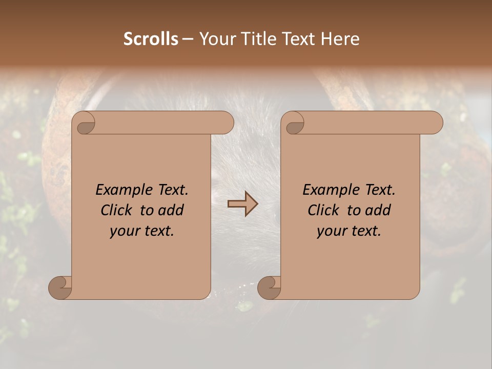 Norway Nature Small PowerPoint Template