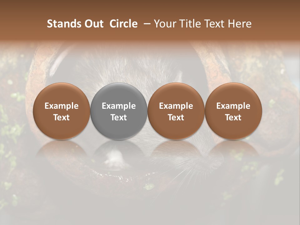 Norway Nature Small PowerPoint Template