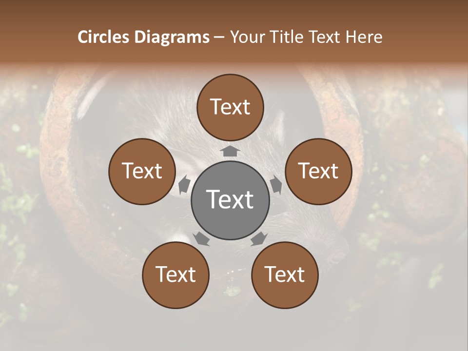 Norway Nature Small PowerPoint Template