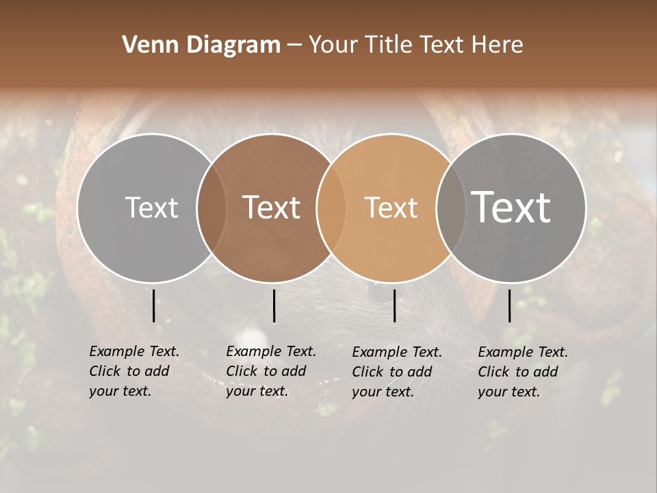 Norway Nature Small PowerPoint Template