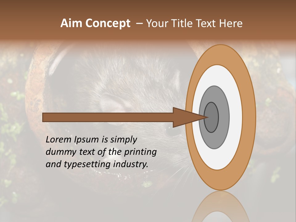 Norway Nature Small PowerPoint Template