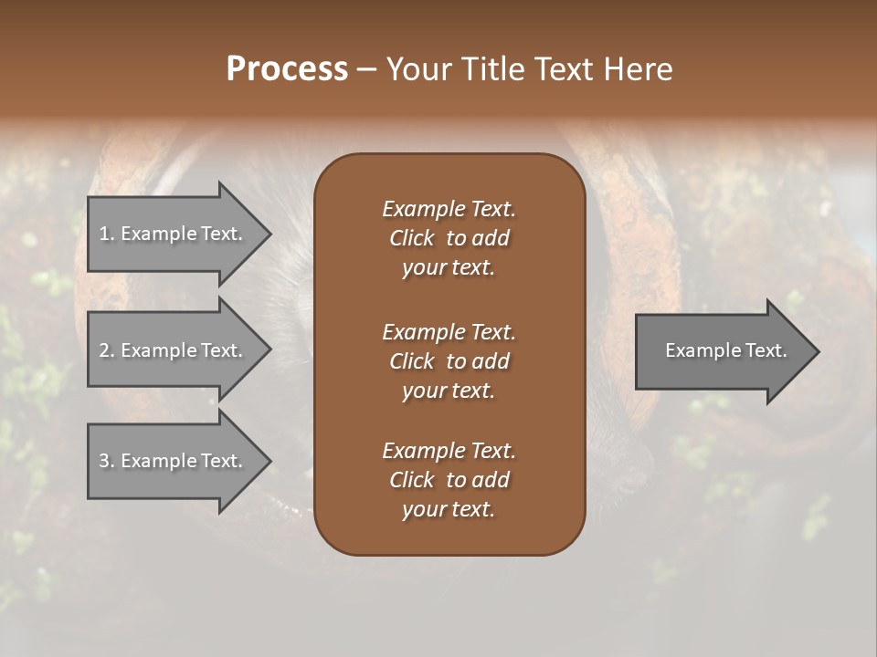 Norway Nature Small PowerPoint Template