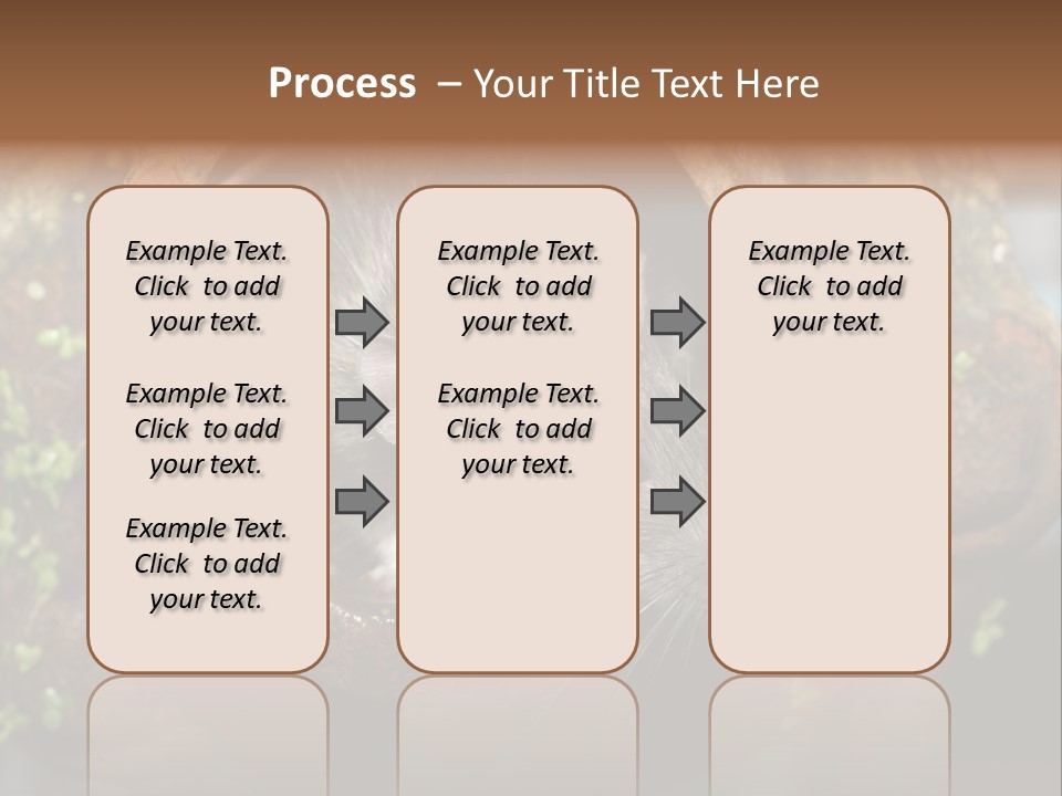 Norway Nature Small PowerPoint Template