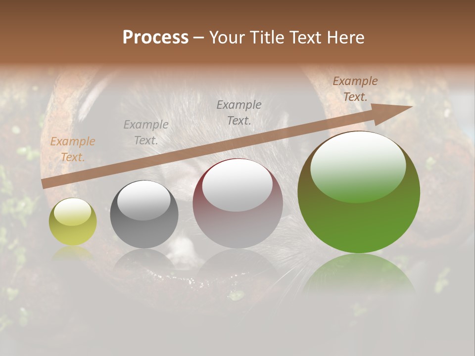 Norway Nature Small PowerPoint Template