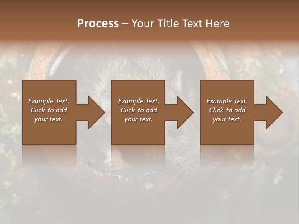 Norway Nature Small PowerPoint Template