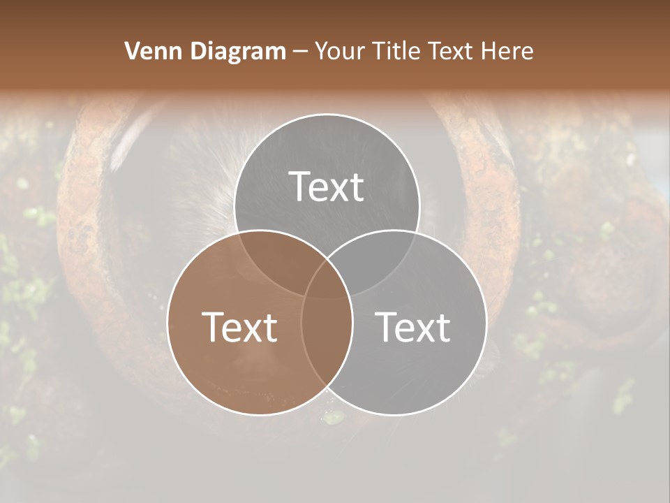 Norway Nature Small PowerPoint Template