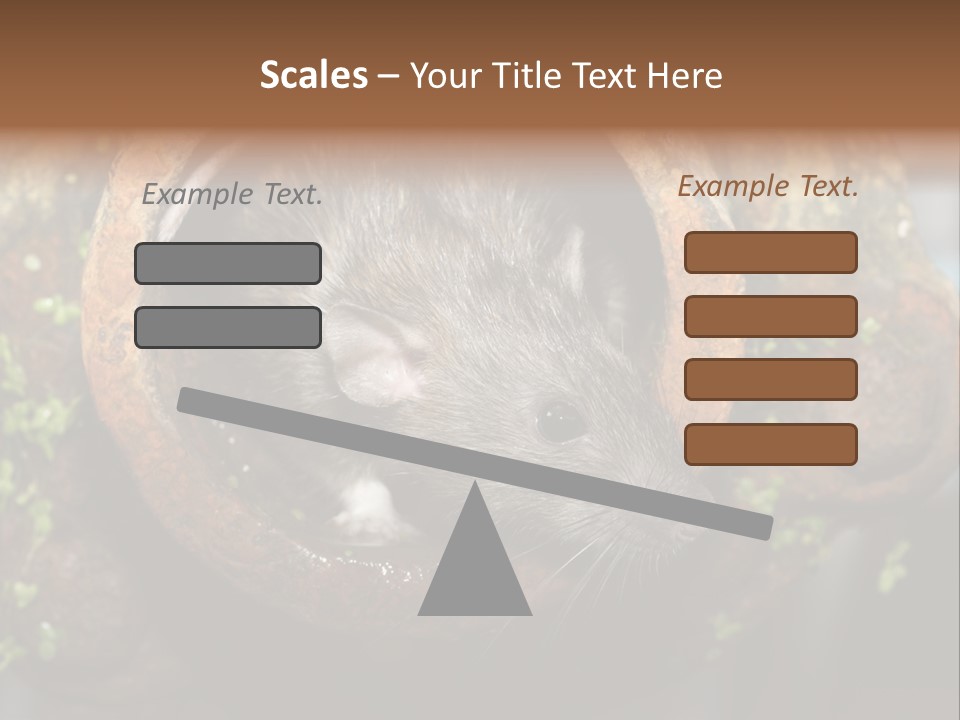 Norway Nature Small PowerPoint Template