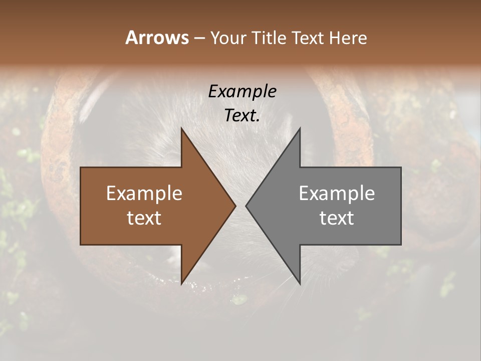 Norway Nature Small PowerPoint Template