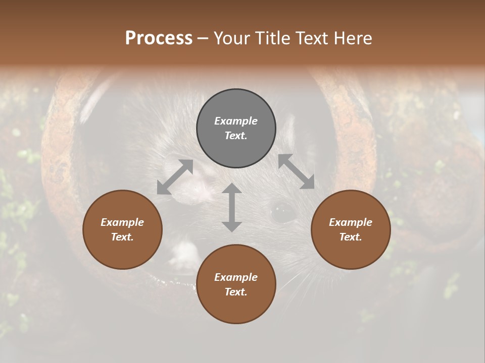 Norway Nature Small PowerPoint Template