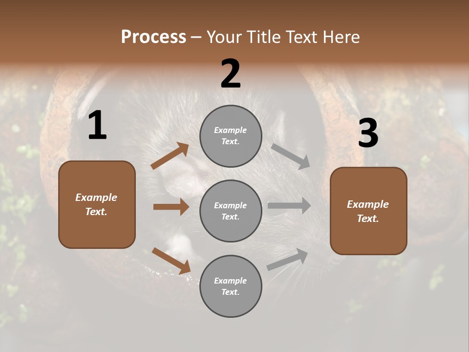 Norway Nature Small PowerPoint Template