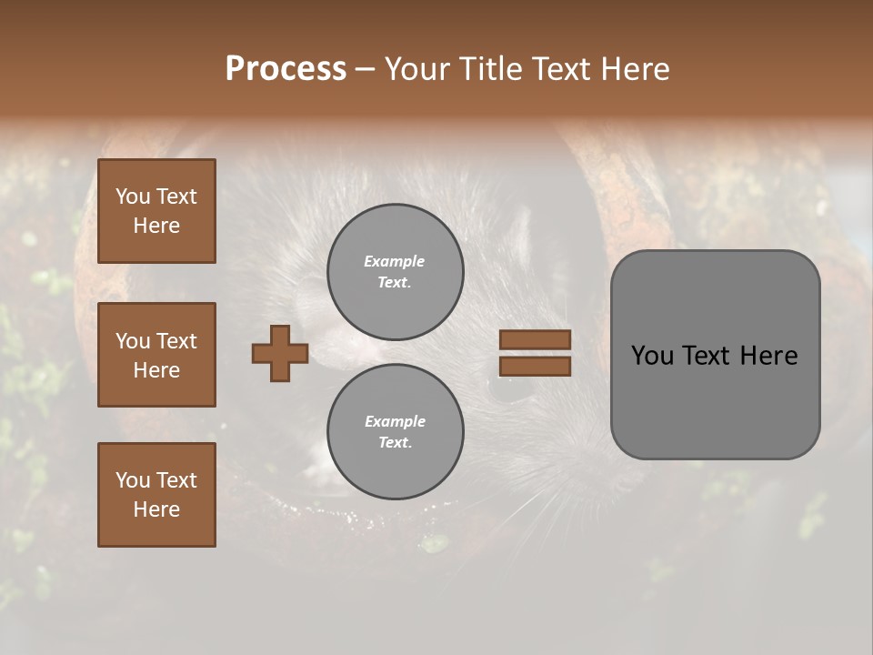 Norway Nature Small PowerPoint Template