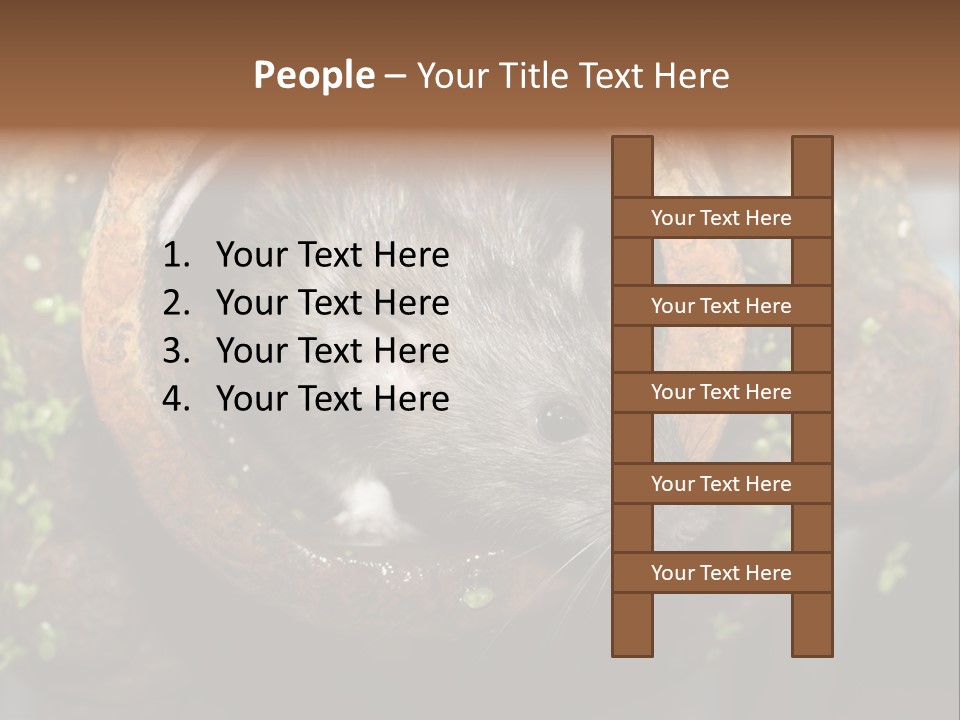 Norway Nature Small PowerPoint Template