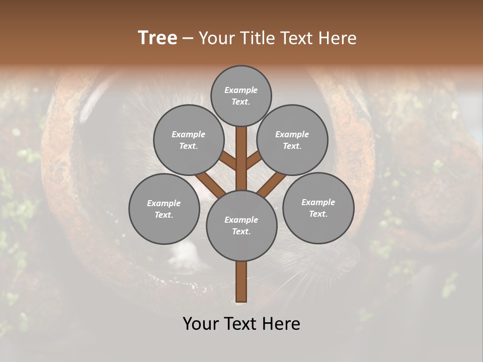 Norway Nature Small PowerPoint Template