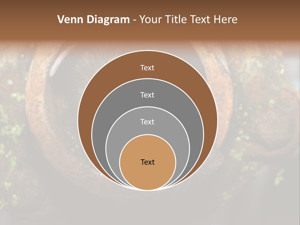 Norway Nature Small PowerPoint Template