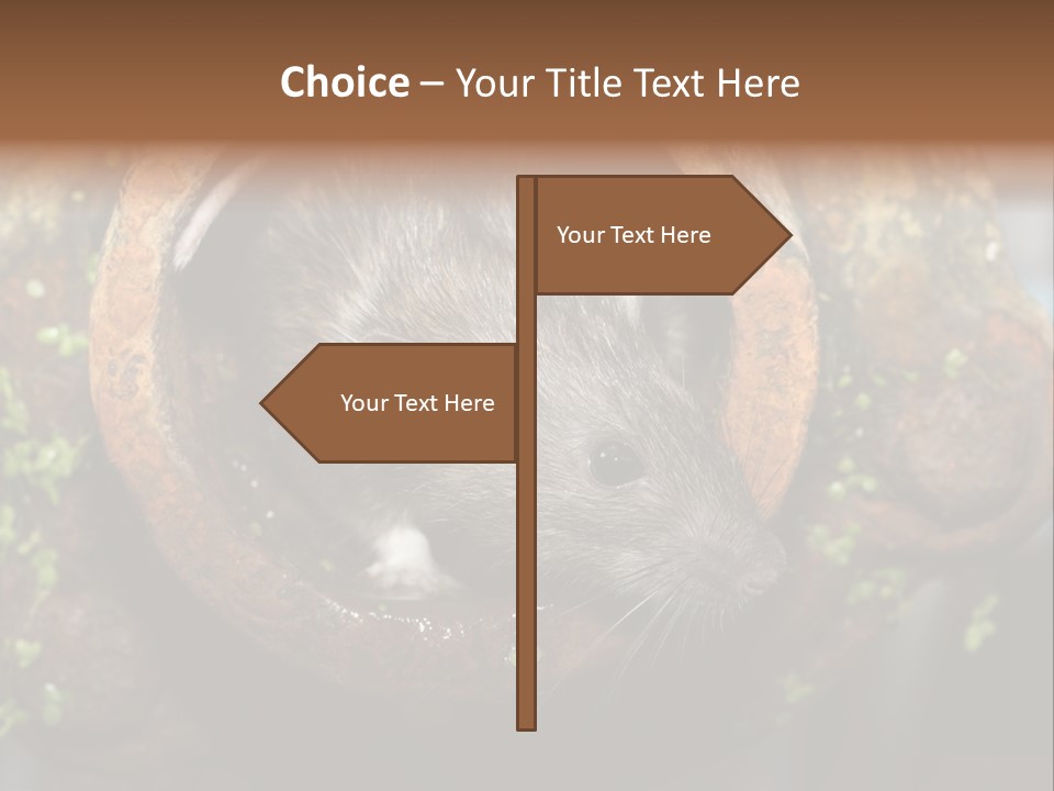 Norway Nature Small PowerPoint Template