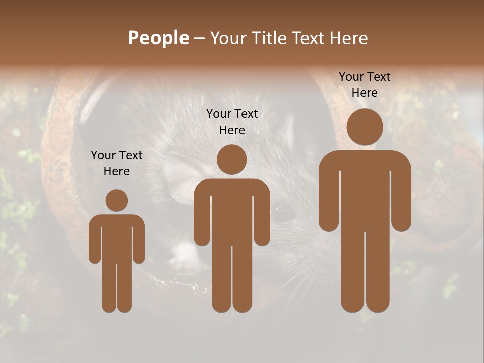 Norway Nature Small PowerPoint Template